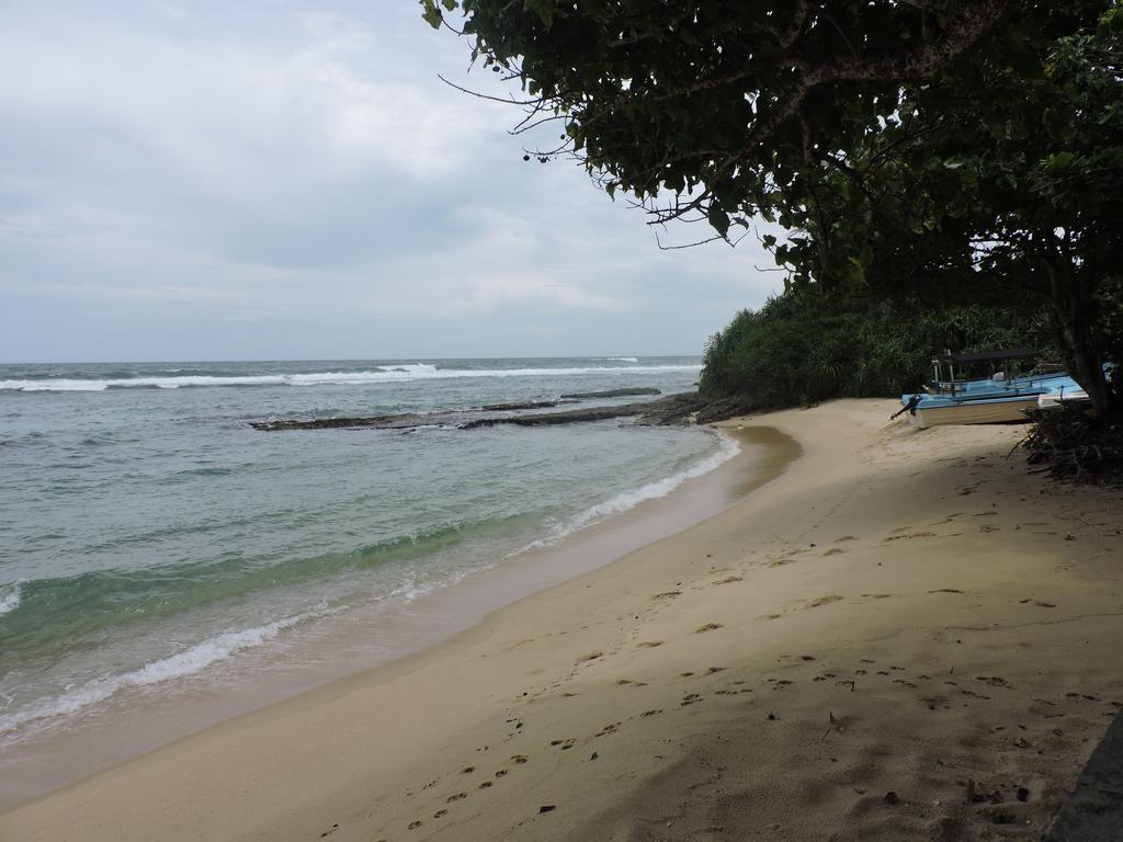 Paradise Beach Resort & Diving School Mirissa Exterior photo